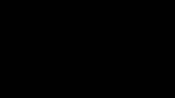 600X.gif